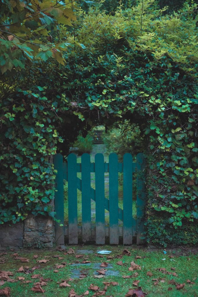 A gate leads you to a path through the trees