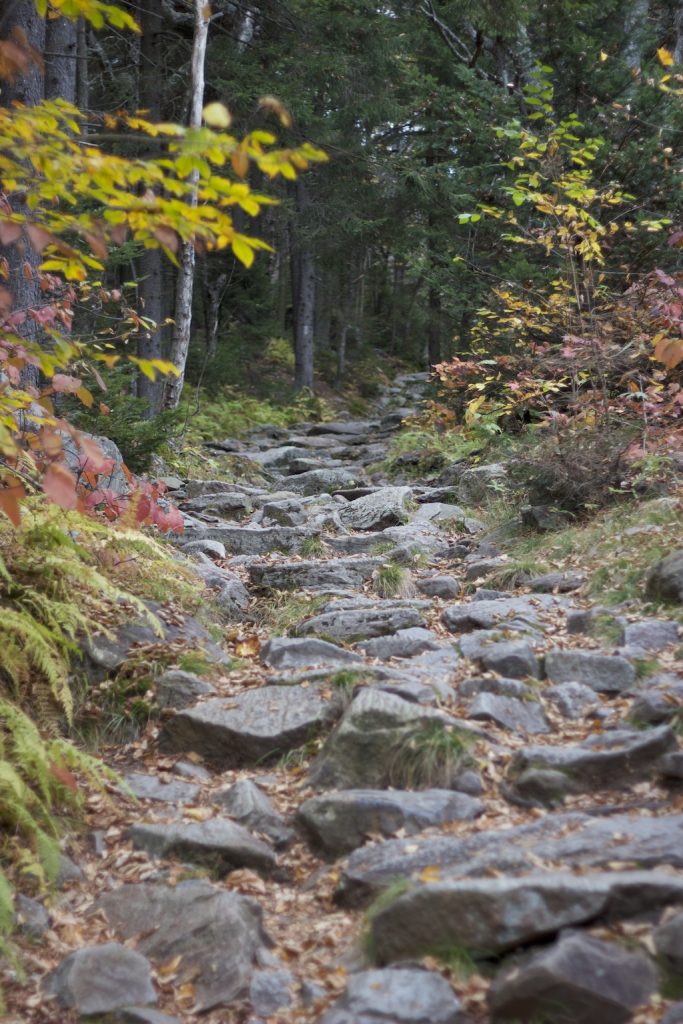 Mysterious path winding steeply upwards
