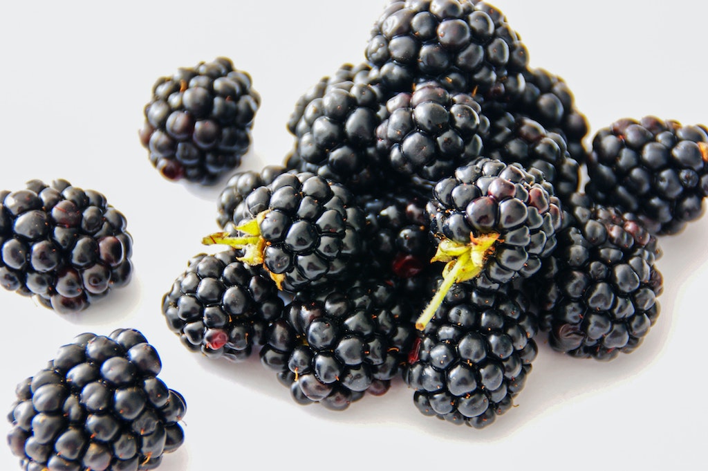 Fruit of the blackberry bush