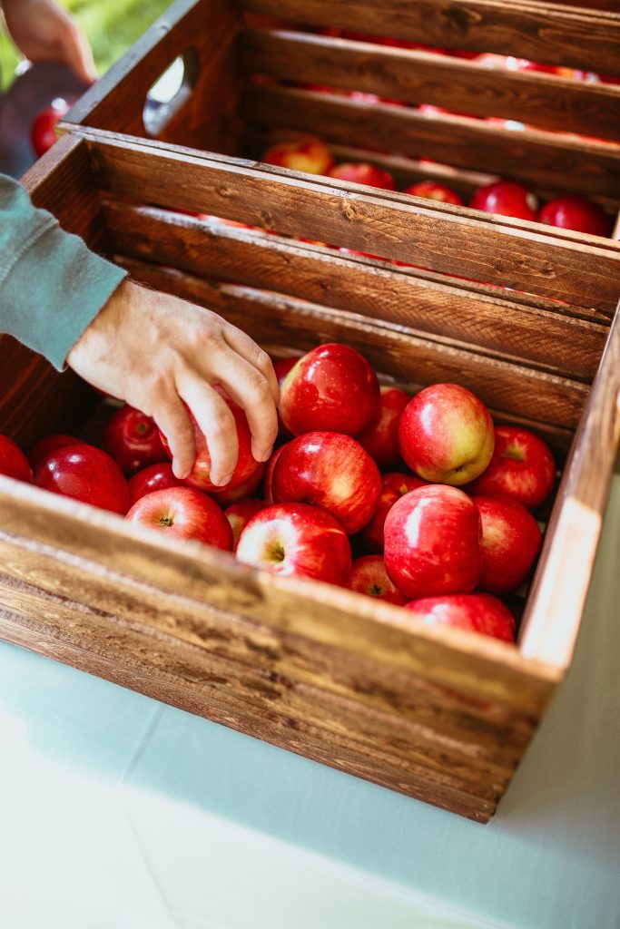 A box of red apples fresh from the orchard