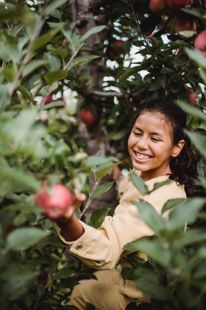 A girl reaches along a branch to pick an apple