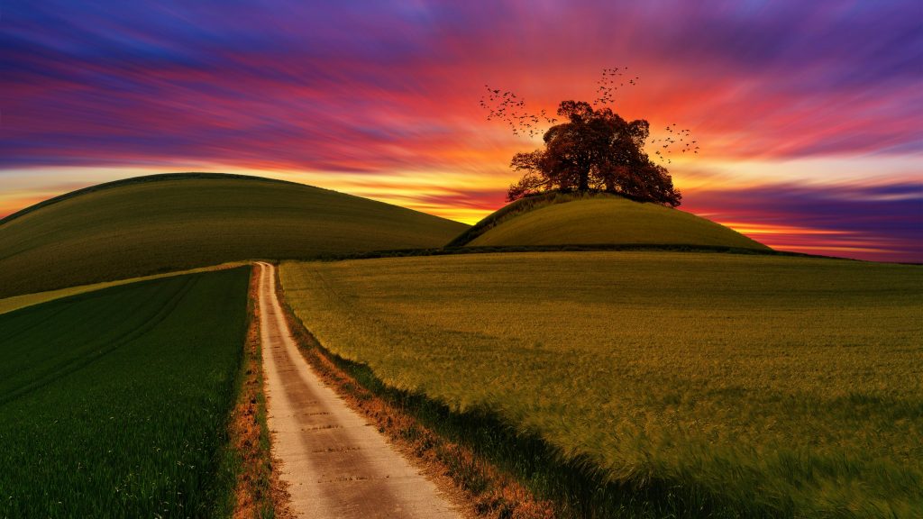 The dawn leads in a new day and a new year