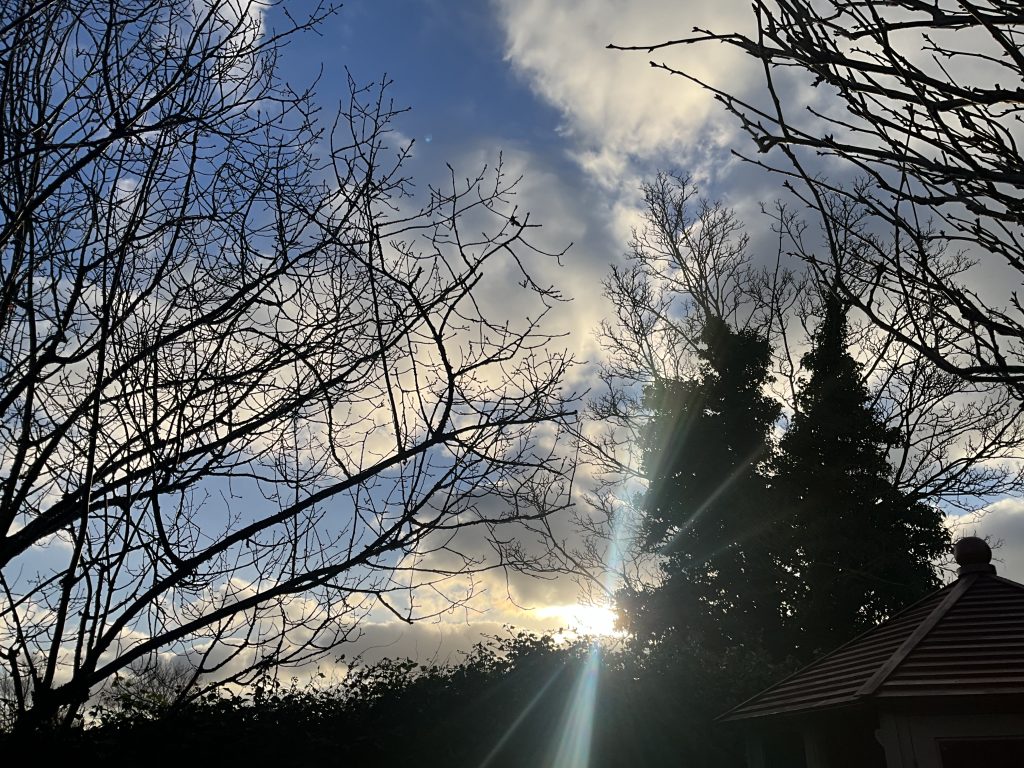 A ray of sun gleams out unexpectedly and brightens the darkness of a January day