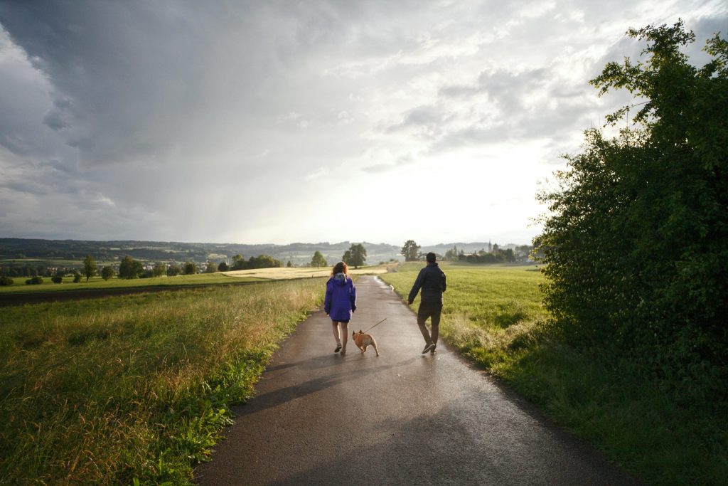 A couple out walking with a dog
